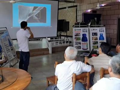 先正达大伟哥产品技术交流探讨